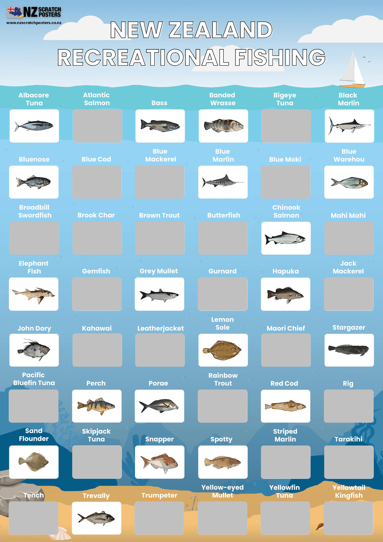 New Zealand Recreational Fishing